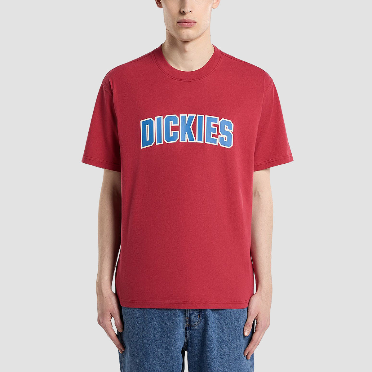 Dickies Aitkin T-Shirt Garnet