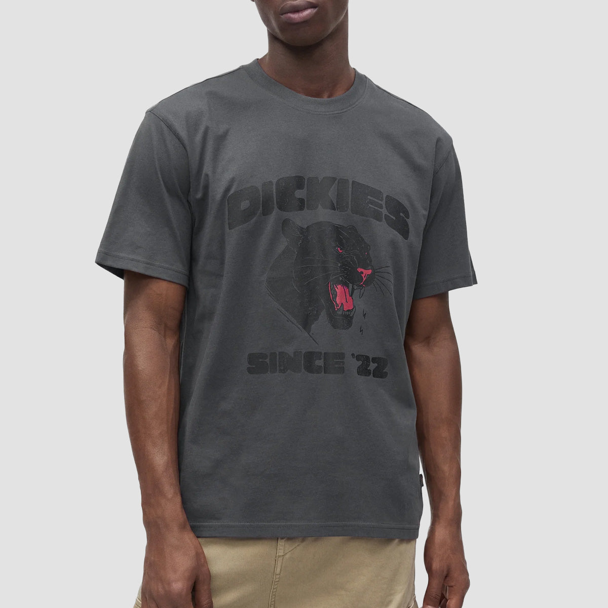 Dickies McDermitt T-Shirt Charcoal