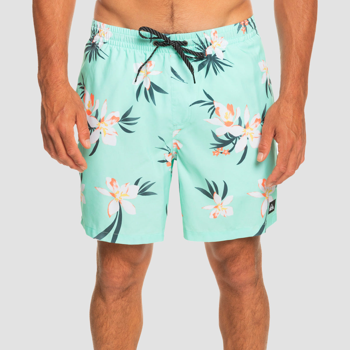 Quiksilver Everyday Mix 17" Swim Shorts Beach Glass
