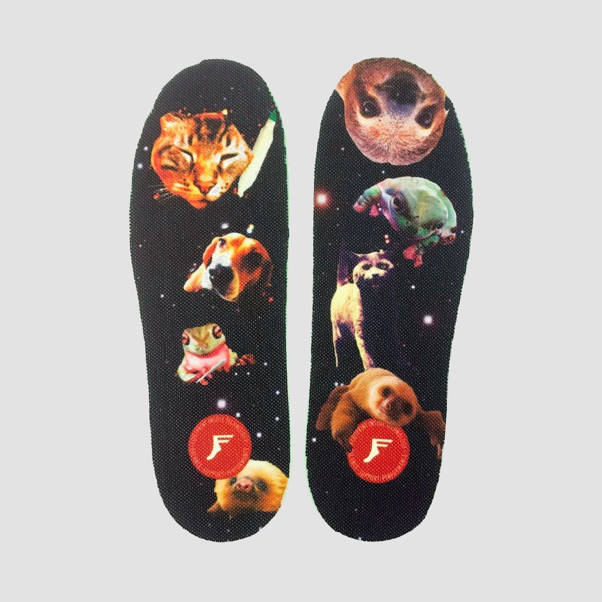 Footprint Kingfoam Elite Mid Insoles Skeleton Kittybabe in Space 3