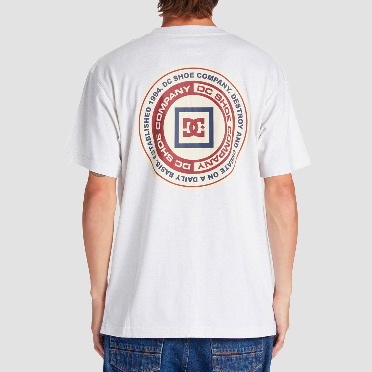 DC Old Head T-Shirt Snow Heather