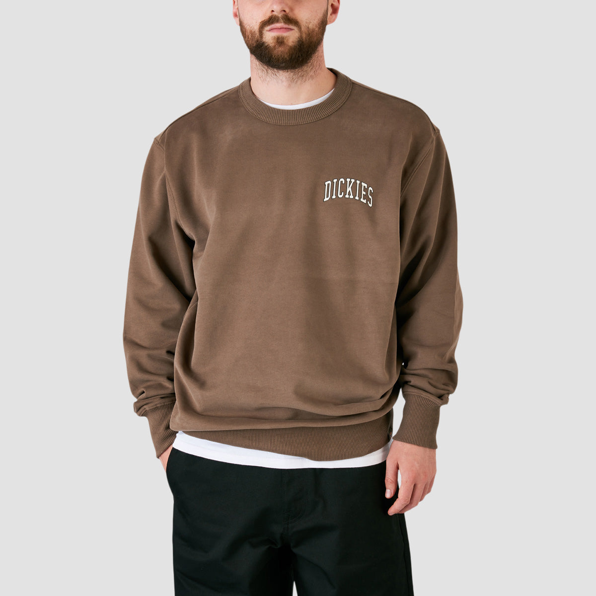 Dickies Aitkin Chest Sweatshirt Mushroom/Cloud