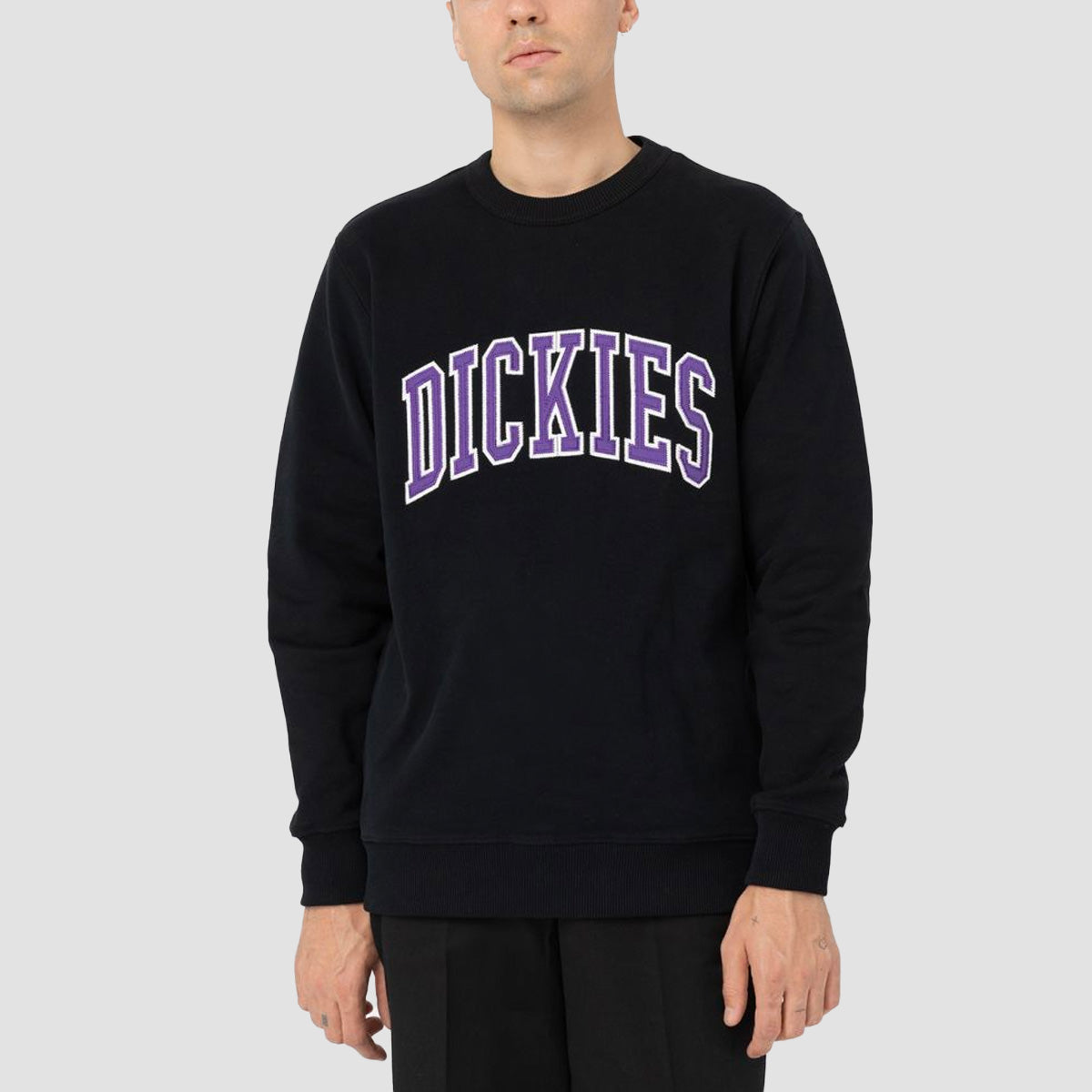 Dickies Aitkin Crew Sweat Black/Imperial Palace