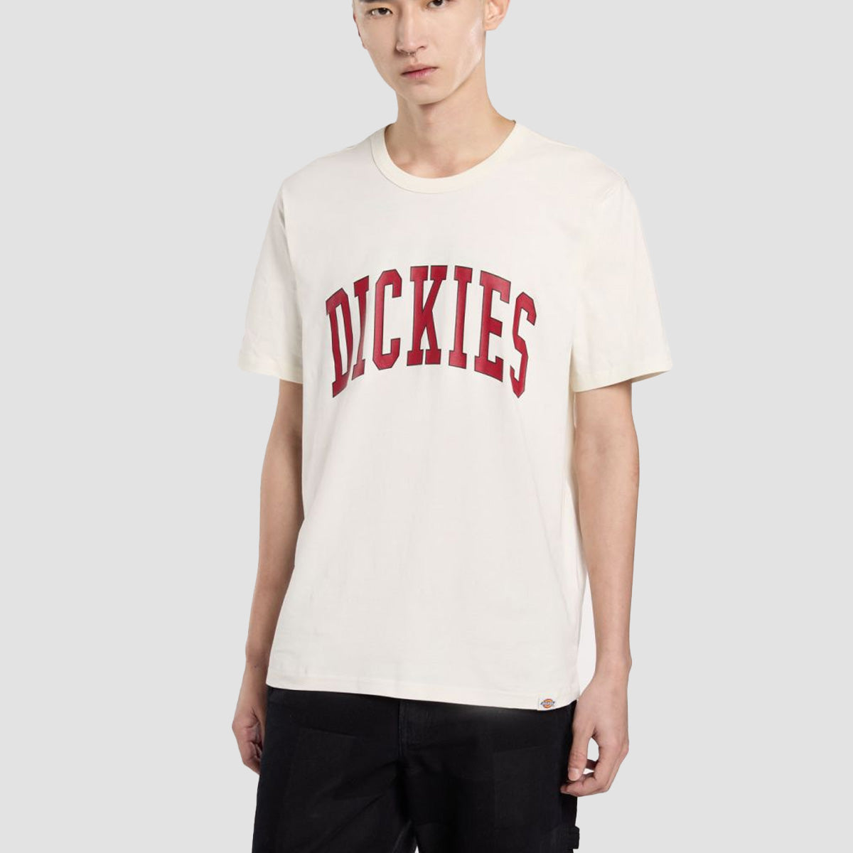 Dickies Aitkin T-Shirt Egret