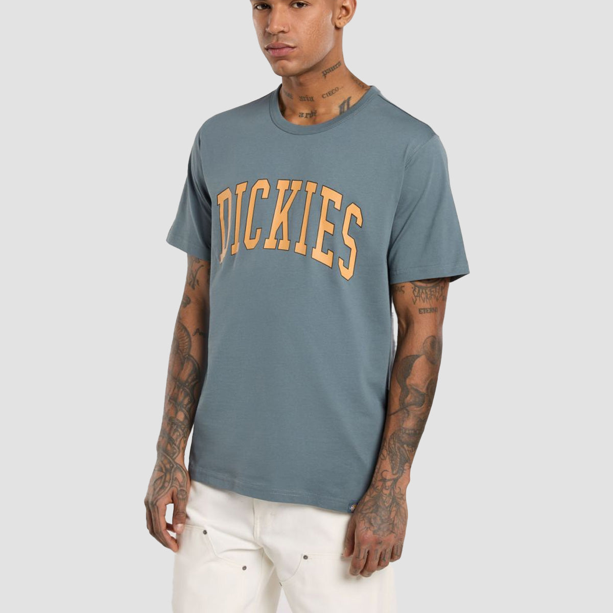 Dickies Aitkin T-Shirt Stormy Weather