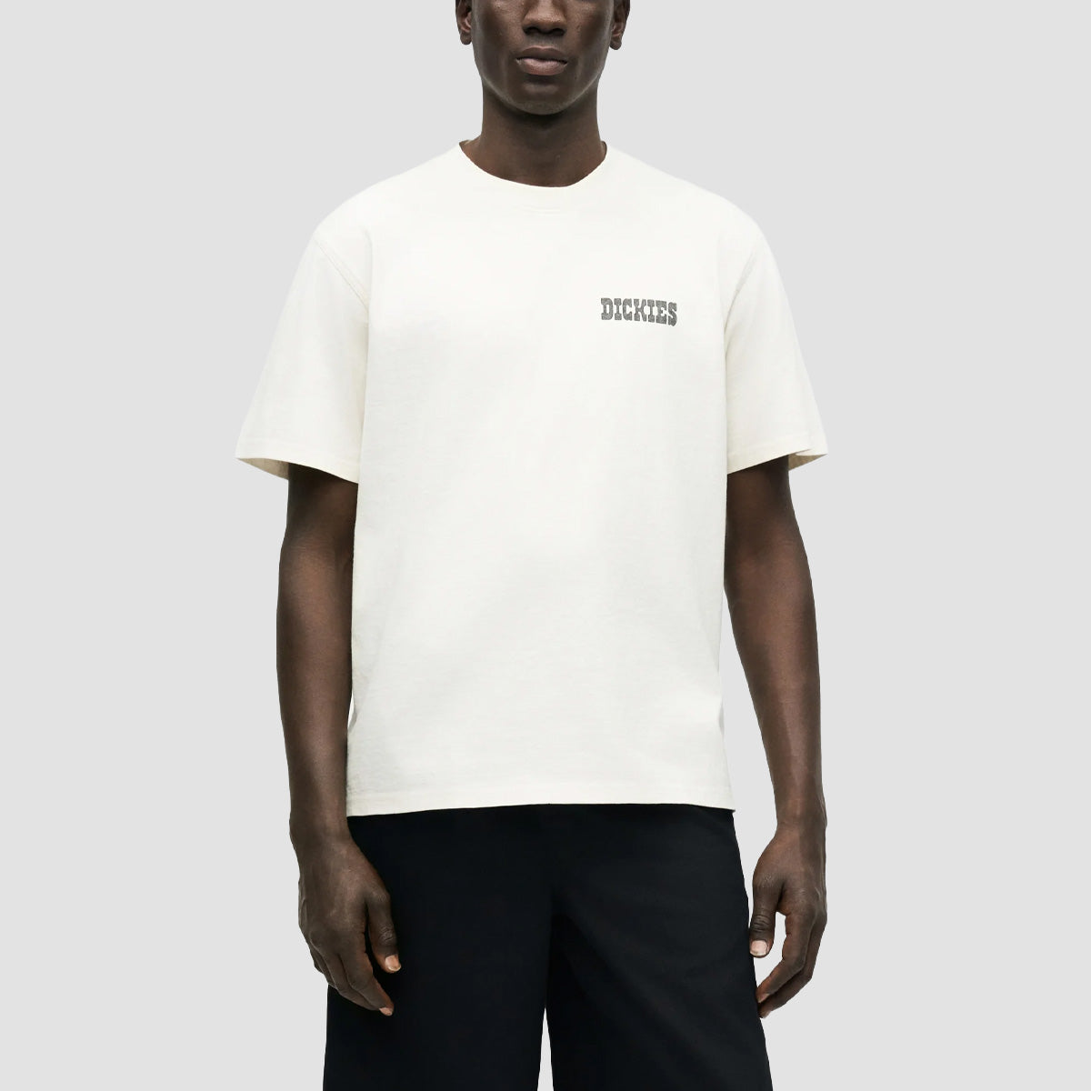 Dickies Buchtell T-Shirt Egret