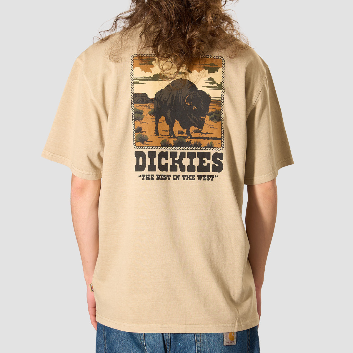 Dickies Darrtown T-Shirt Eucalyptus