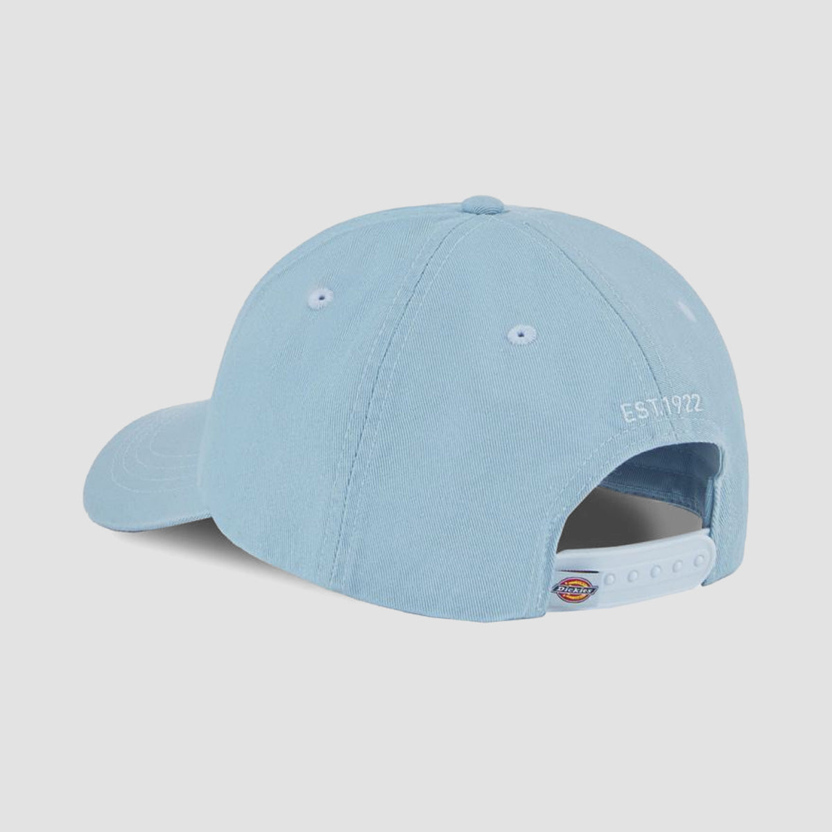 Dickies Hardwick 6 Panel Logo Cap Skyway