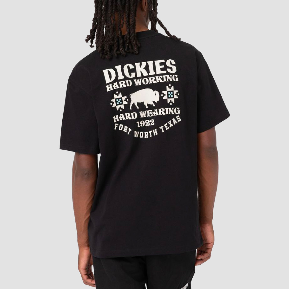 Dickies Hays T-Shirt Black