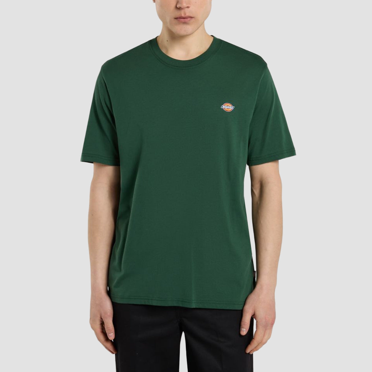 Dickies Mapleton T-Shirt Pine Needle Green