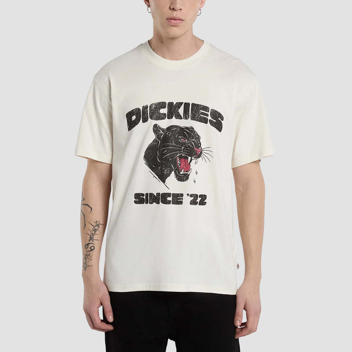 Dickies McDermitt T-Shirt Egret