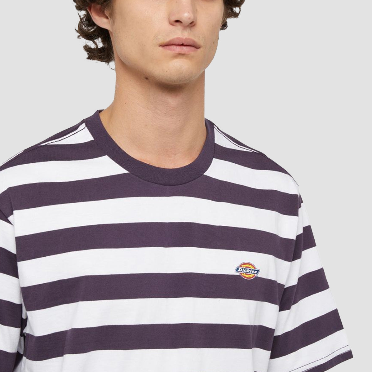 Dickies Rivergrove T-Shirt Plum Perfect