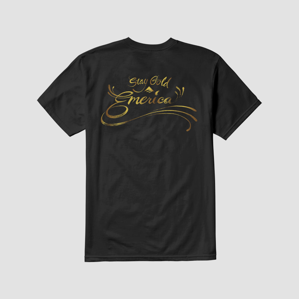 Emerica Stay Gold Sweep T-Shirt Black
