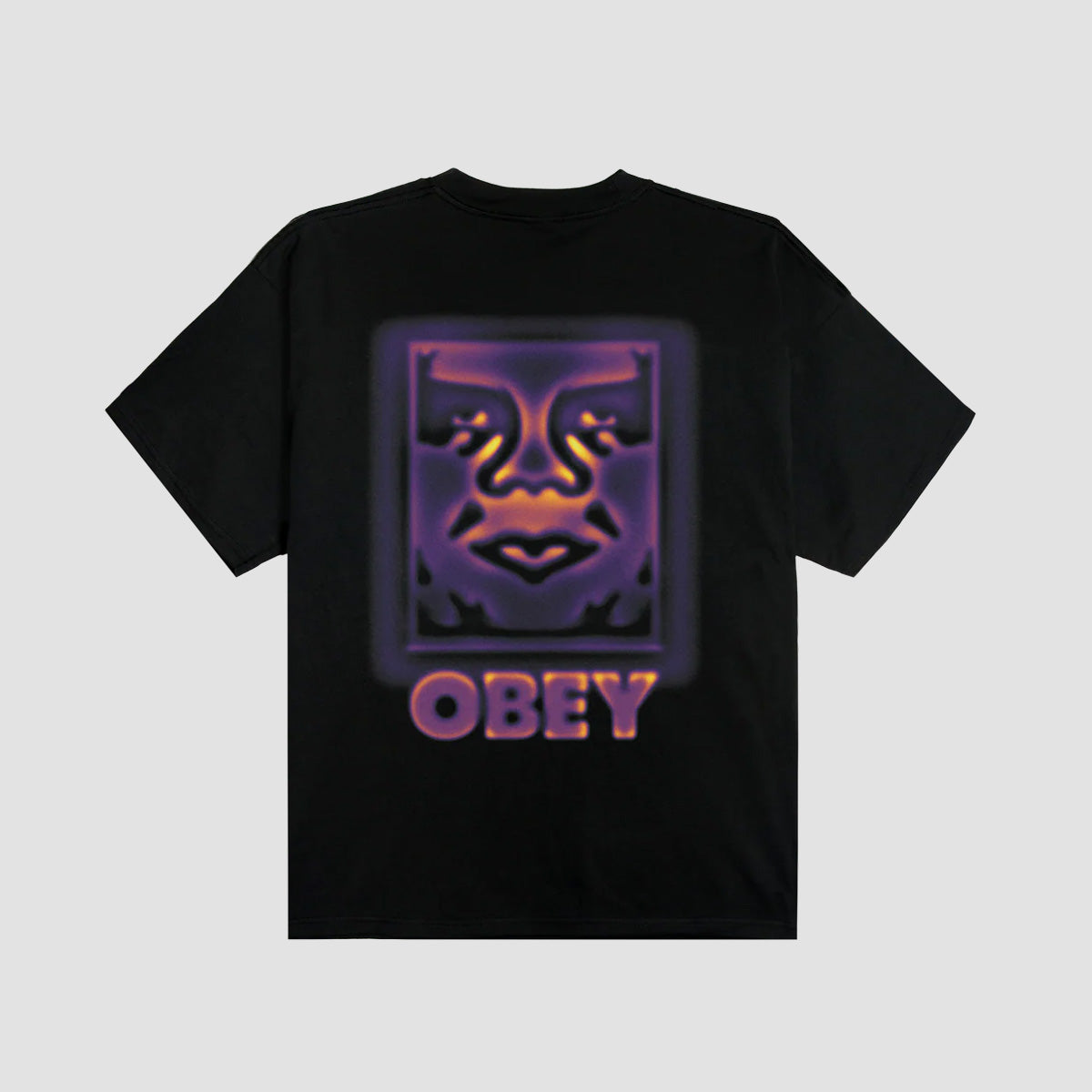 OBEY Heat Map Icon HeavyweightT-Shirt Black