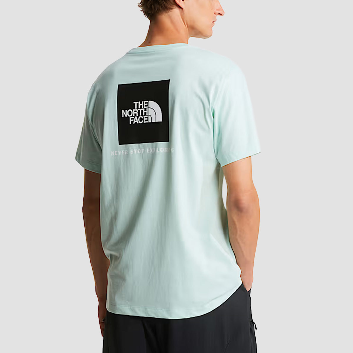 The North Face Evolution Box NSE Regular T-Shirt Opal Frost