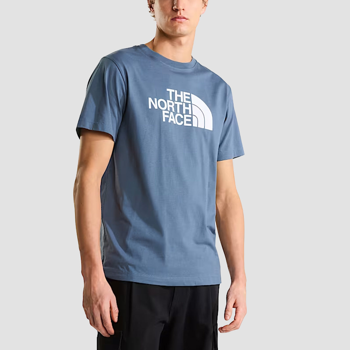The North Face Evolution Half Dome Regular T-Shirt Granite Grey