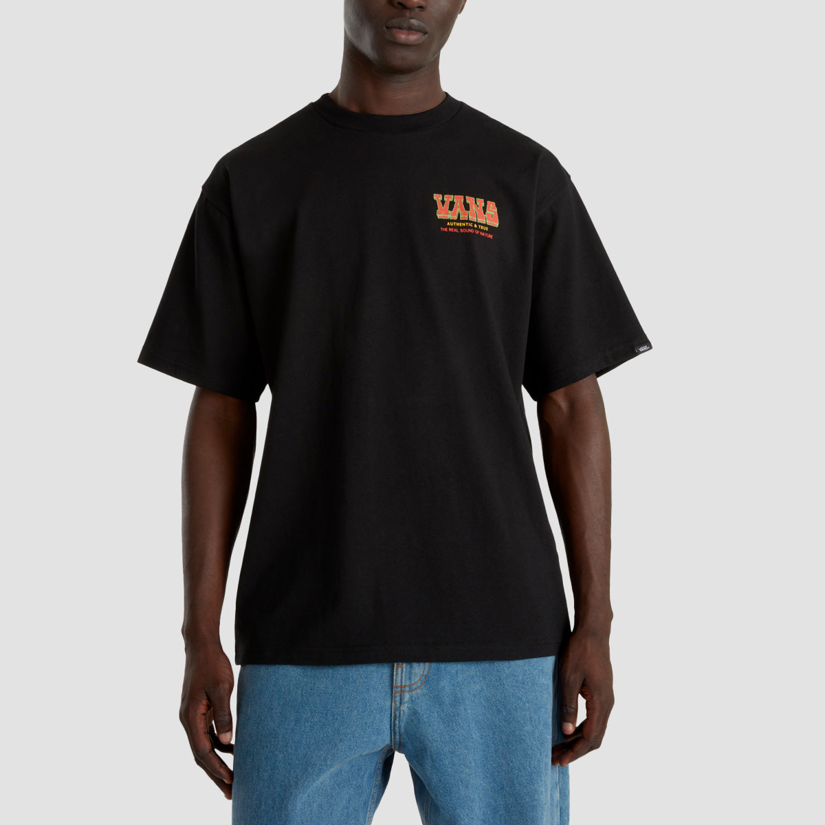 Vans Authentic And True Loose T-Shirt Black